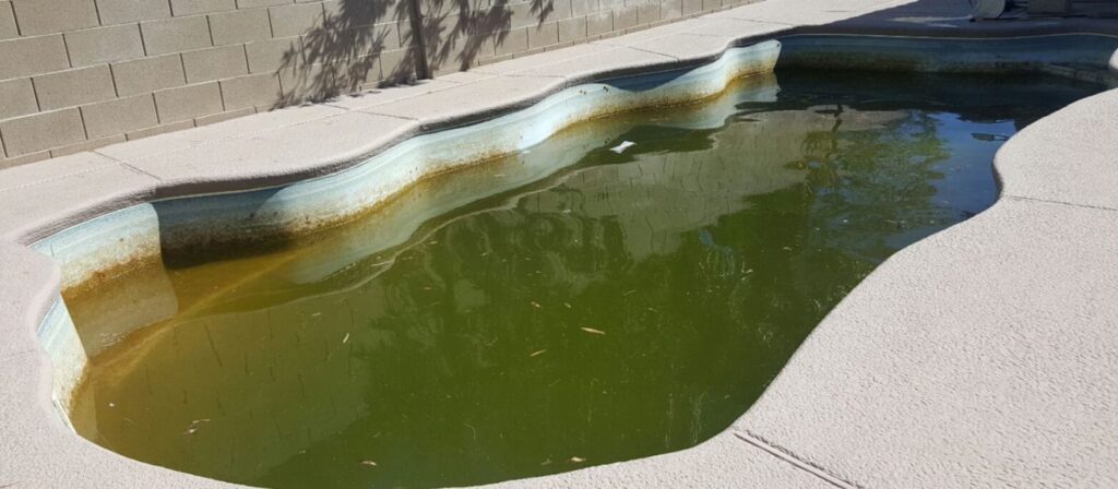 Algae cleanup before